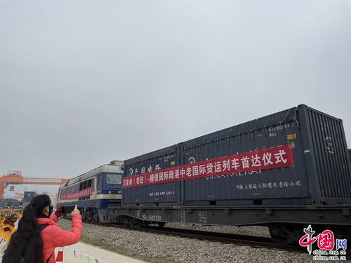 騰俊國際陸港中老國際貨運(yùn)列車首次抵達(dá)昆明晉寧