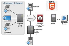 HTML5培訓(xùn)與開發(fā) 火龍果軟件助力軟件開發(fā)技能提升